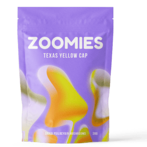 Texas Yellow Cap | Buy Shrooms Canada