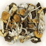 Full Moon Party | Buy Shrooms Canada