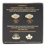 Room 920 – Mushroom Chocolate Bar - Milk Chocolate - 3 Grams | Buy Shrooms Canada