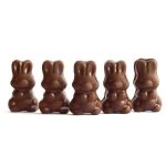 Alice - Mushroom Milk Chocolate - 2.5g | Buy Shrooms Canada