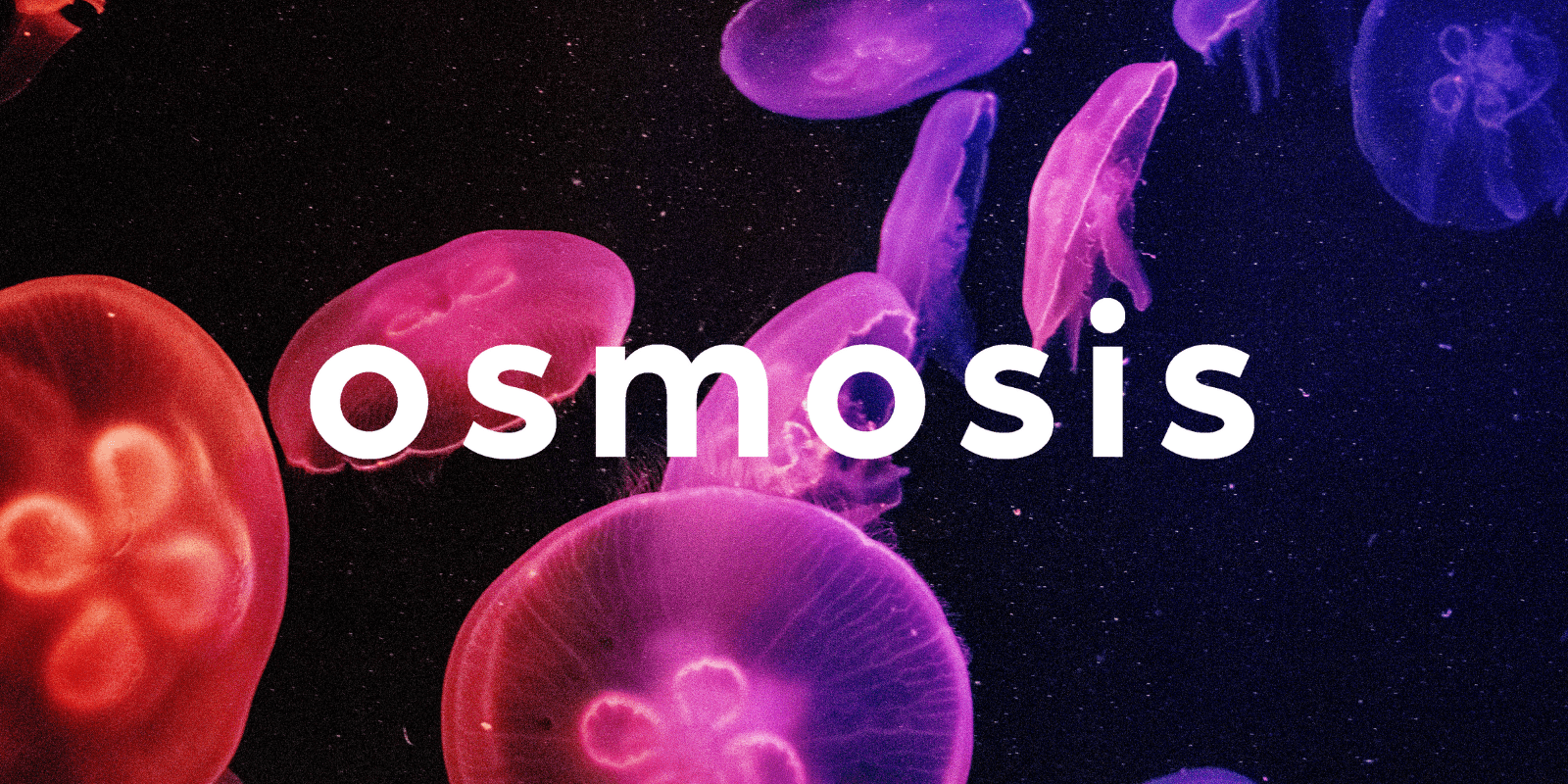 Zoomies osmosis banner | Buy Shrooms Canada