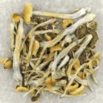 Trinity | Buy Shrooms Canada