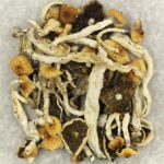Cuban | Buy Shrooms Canada
