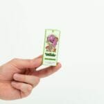 Wonder – Psilocybin Chocolate Bar – Dark Chocolate | Buy Shrooms Canada