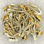 Hautla | Buy Shrooms Canada