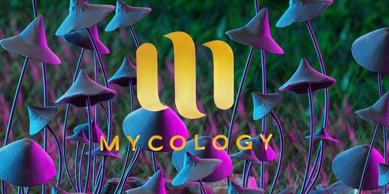 Zoomies Summer 2023 Banner - Mycology | Buy Shrooms Canada
