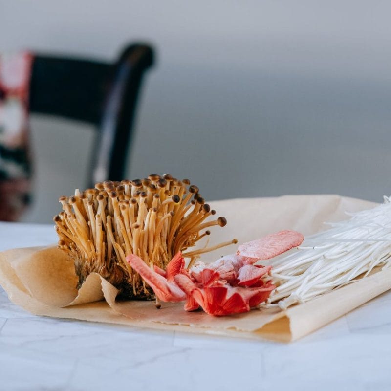 Buy Shrooms Online Canada (1) | Buy Shrooms Canada