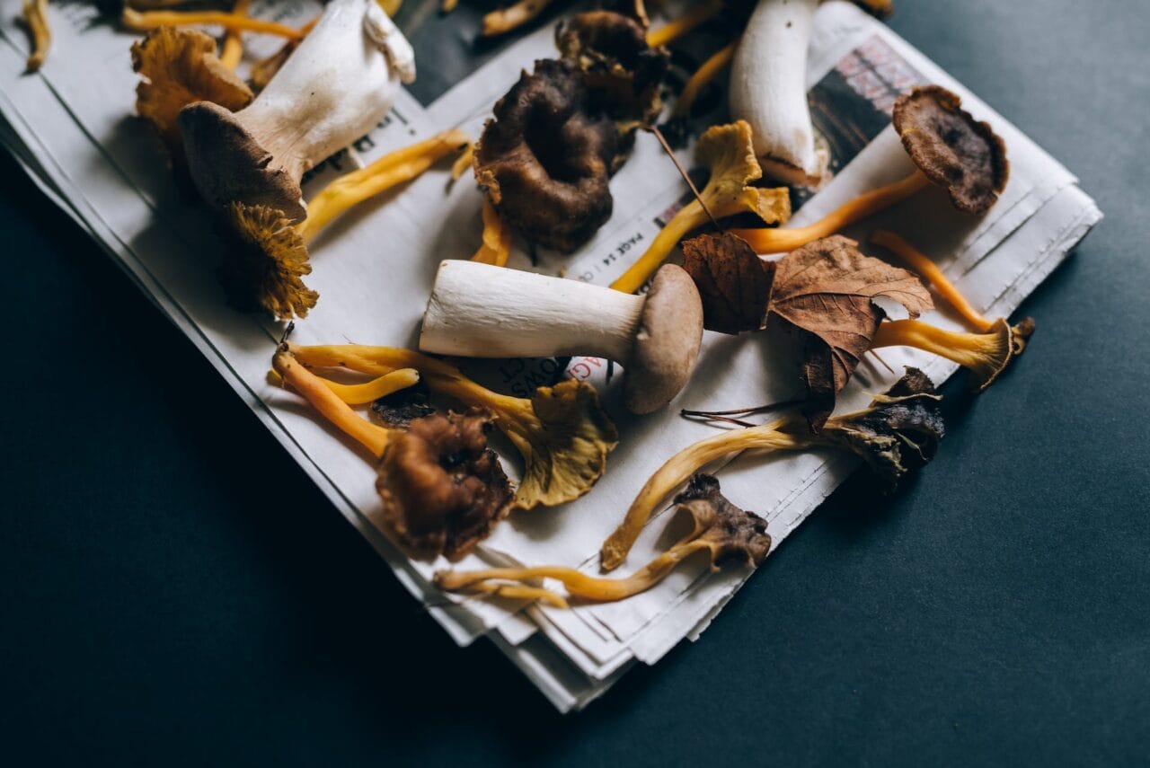 Is it a Good Idea to Combine Shrooms and Chocolate?