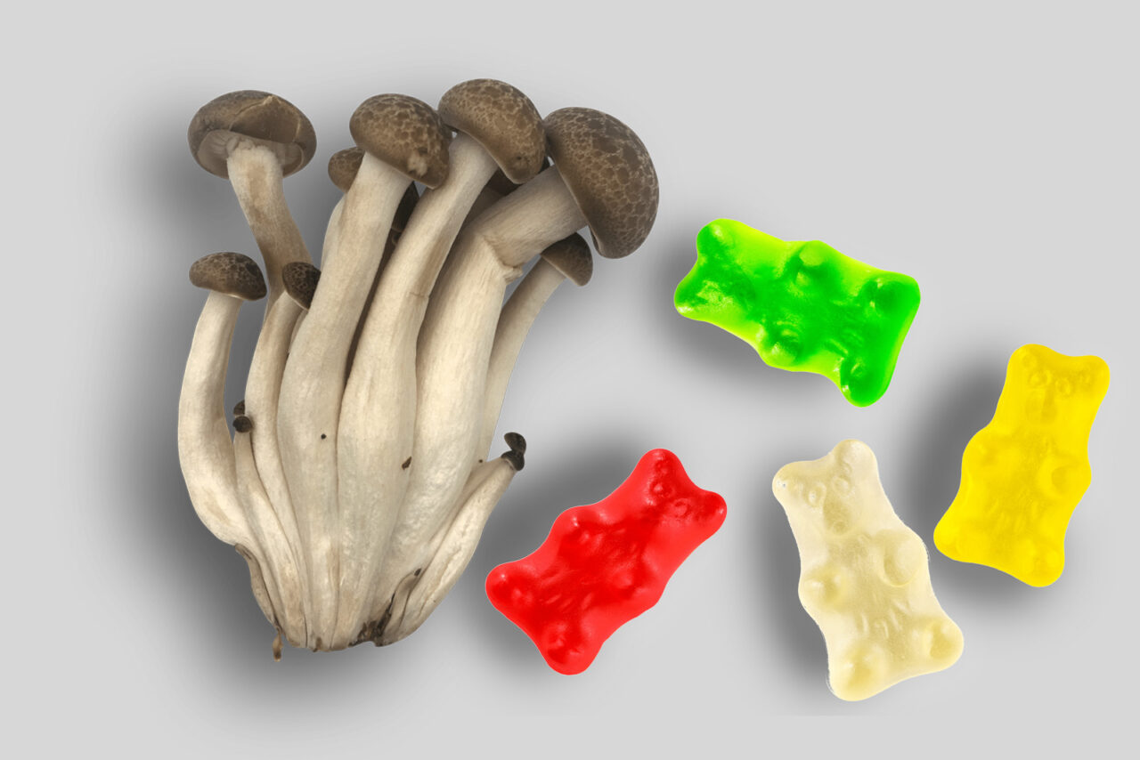 Edibles with LSD