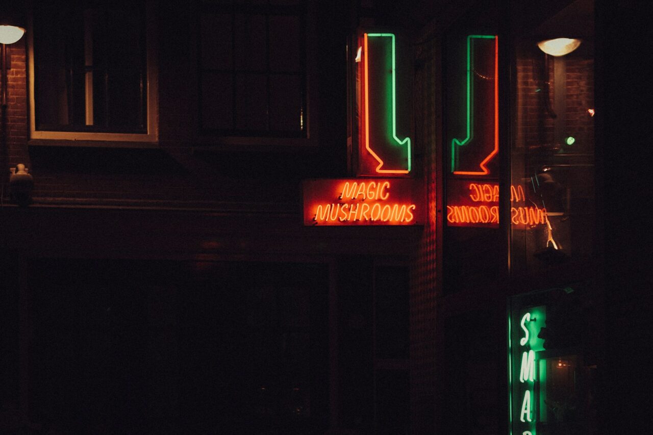 Vancouver’s Mushroom Dispensary – How is Canada Closing the Gap in the US Psychedelic Mushroom Surge?